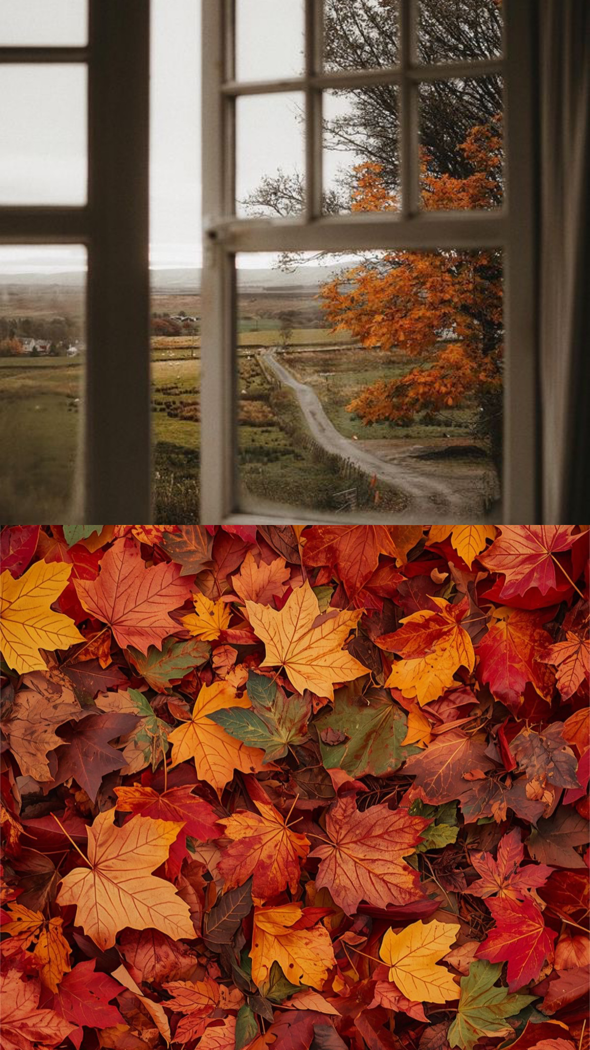 Autumn Umbrella