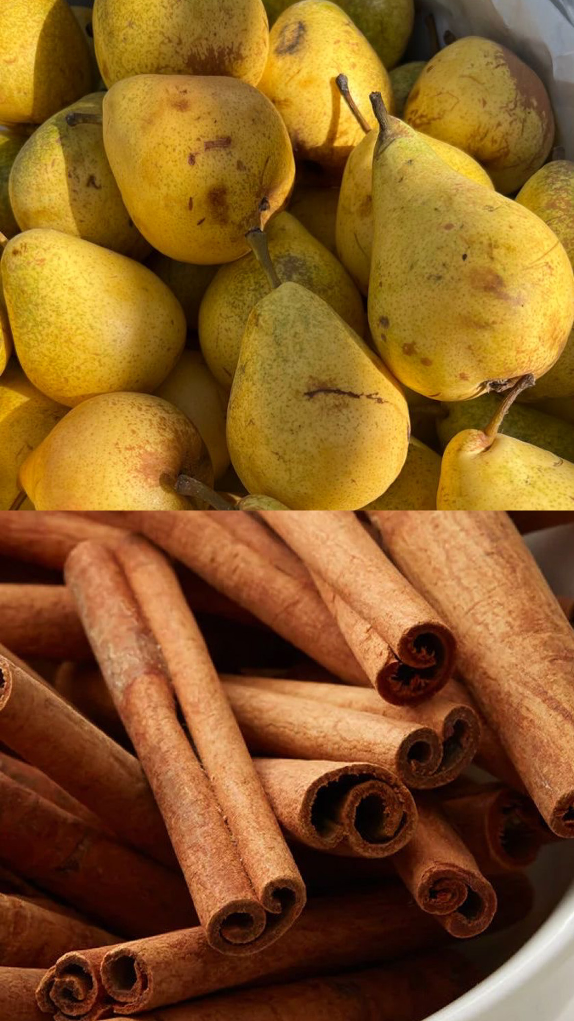 Pear&Oak